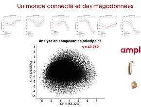 Agrandir l'image (fenêtre modale)