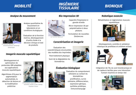 Agrandir l'image (fenêtre modale)