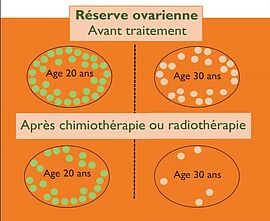 Agrandir l'image (fenêtre modale)