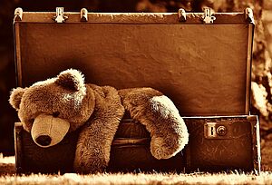 valise - Enlarge picture (modal window)