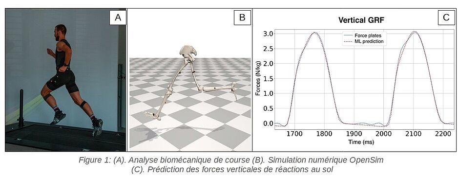 Agrandir l'image (fenêtre modale)